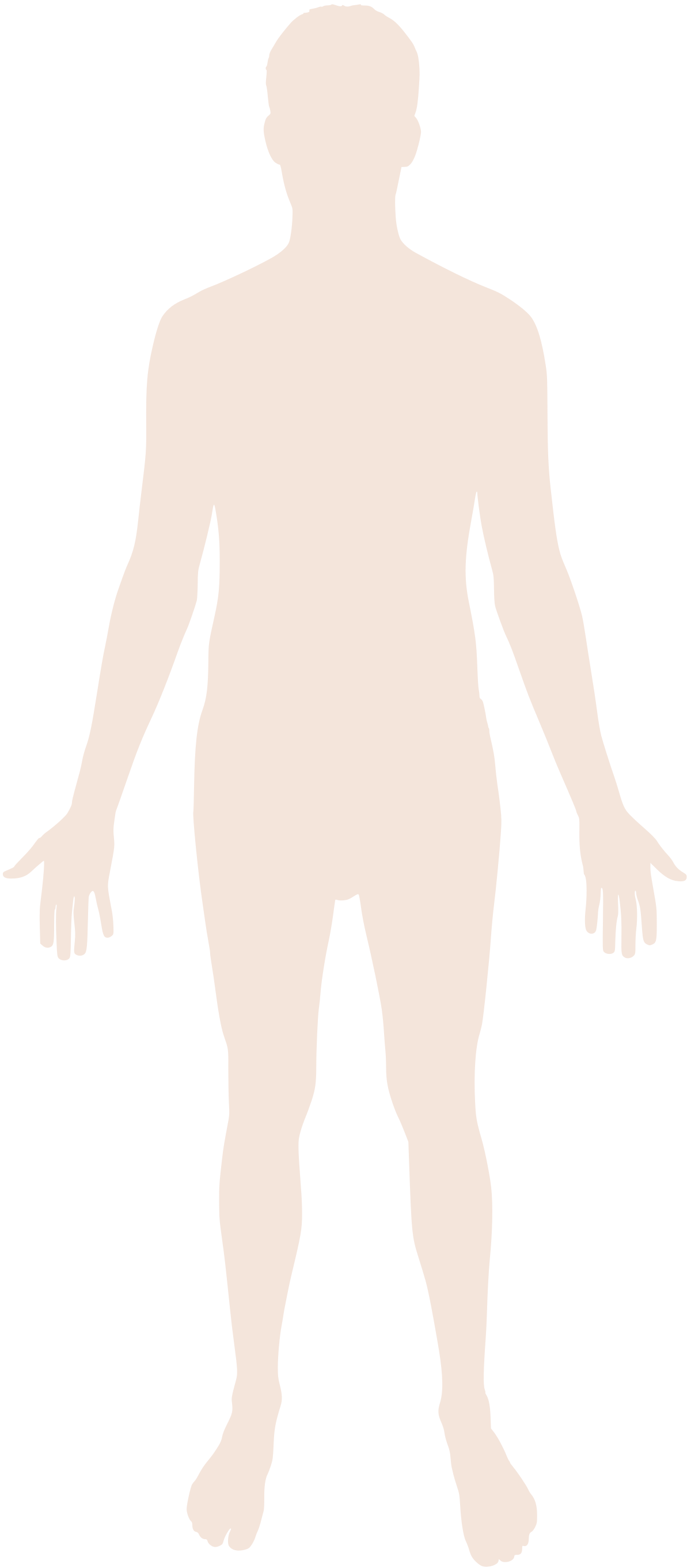 File:Human body features-fr.svg - Wikimedia Commons