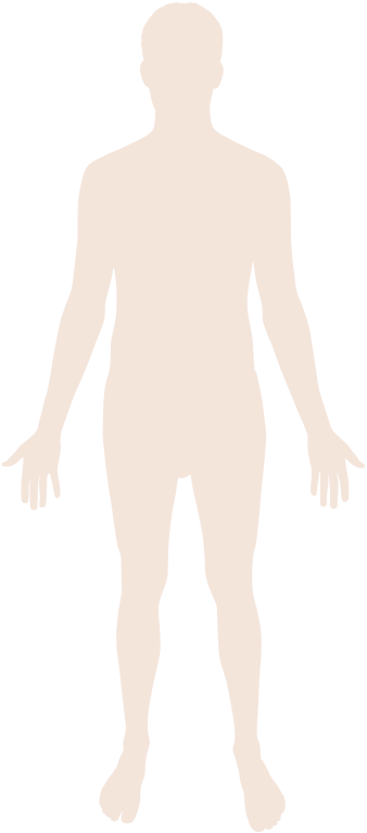 Download File:Human body silhouette.svg - Wikimedia Commons