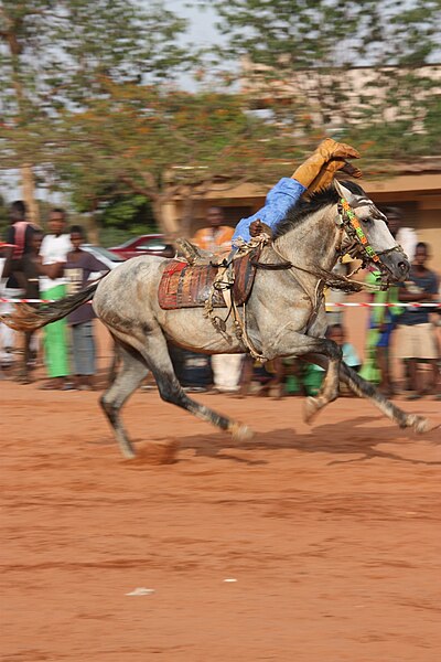 File:Ibrahim, le voltigeur.jpg