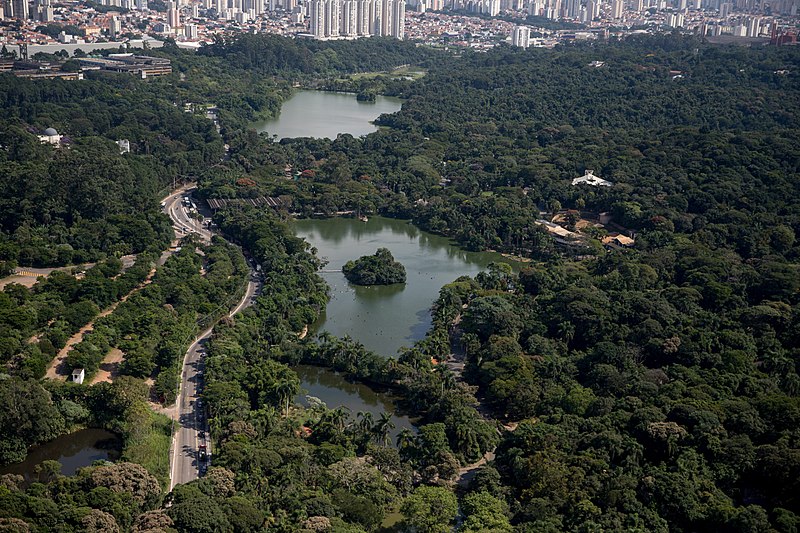 File:Imagens da Cidade de São Paulo e Zoológico da Capital Paulista. (46756953414).jpg