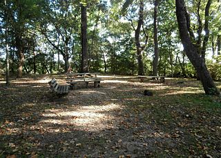 Ingomar Mound