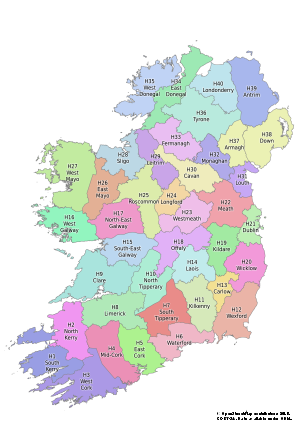 Irische Vize-Grafschaften
