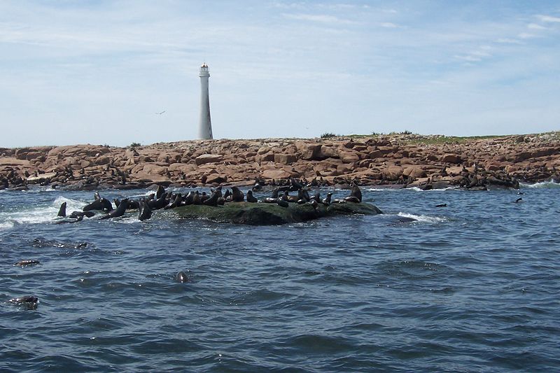 File:Isla de Lobos (Uruguay).jpg