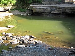 Island Run (Helmick Bridge, southwest of Eagleport, Morgan County, Ohio, USA) 3 (28488898532).jpg