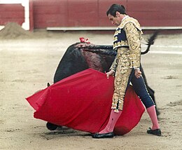 Torero (20) spaart leven van stier die hem herhaaldelijk spietste, Buitenland