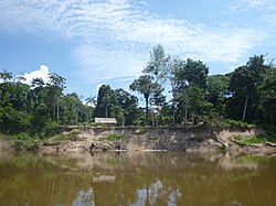 Jutaí - State of Amazonas, Brazil - panoramio (18).jpg