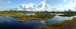 Thumbnail for Epu-Kakerdi Wetland Complex