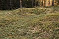 Svenska: Kapellbäcken, järnåldersgravfält och Hedemora kommuns största gravfält, nära Tjärnan, Hedemora kommun, Dalarnas län, Sverige. This is a picture of an archaeological site or a monument in Sweden, number Hedemora 65:1 in the RAÄ Fornsök database.