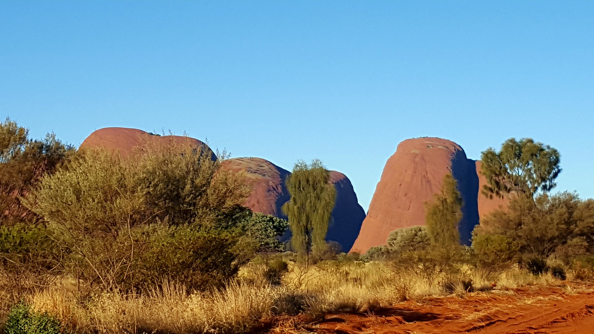 Kata Tjuta veiw.jpg