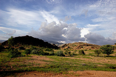 A view of lush green Kirthar National Park during the monsoon season