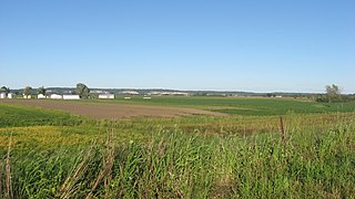 <span class="mw-page-title-main">Kolmer Site</span> Archaeological site in Illinois, United States