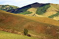 * Nomination Landscape. Gorkhi-Terelj National Park. Mongolia. --Halavar 12:12, 17 May 2014 (UTC) * Promotion Not too sharp but good compo imo. --JLPC 16:21, 17 May 2014 (UTC)