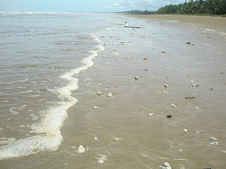 Kuala Nyalau beach