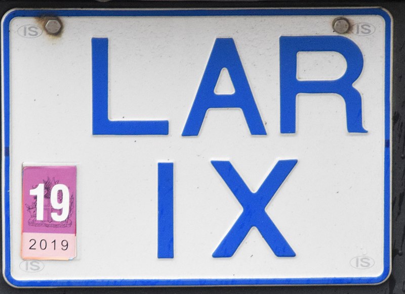 File:LARIX 001.jpg