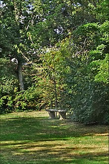 Het graf van Louise de Vilmorin (Verrières-le-Buisson) (30850346348) .jpg