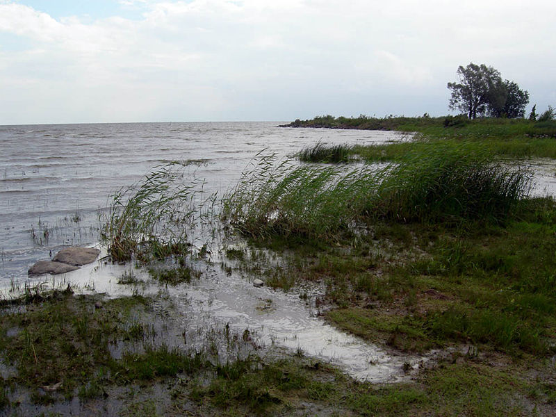 File:LakePeipus02.JPG