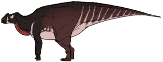 <i>Aralosaurus</i> Extinct genus of dinosaurs