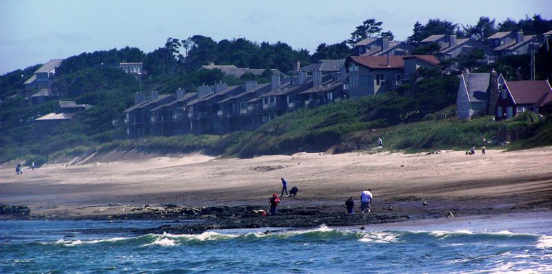 File:Lincoln beach OR beachcombing.JPG