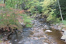 Little Catawissa Creek looking downstream immediately below the mouth of Stony Run