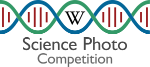2015 Science Photo Competition