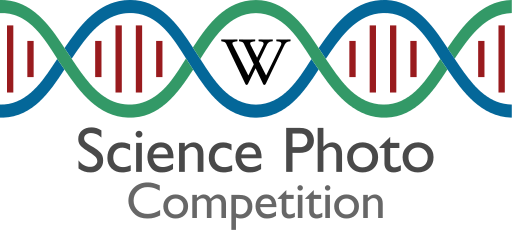 Logo for e-Science Photo Competition v2