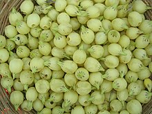 Mahua flowers