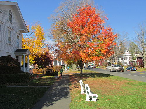 Newtown chiropractor