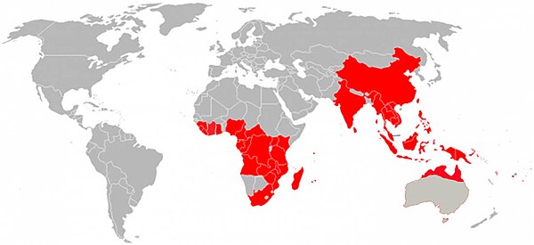 Global distribution of Memecylon. Regions in red include presence data of Memecylon. Sources: GBIF geographic occurrence data and locality data in NCBI database Map of Memecylon.jpg
