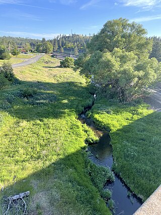 <span class="mw-page-title-main">Marshall Creek (Latah Creek)</span> River in Washington, United States