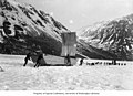Men and dogsled navigating large sled with sail on Windy Arm, Tagish Lake, ca 1898 (CURTIS 1343).jpeg