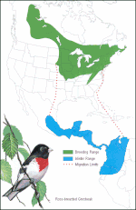 Thumbnail for File:Migration route rose breasted grosbeak.gif