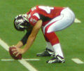 File:Falcons on field pregame at Atlanta at Oakland 11-2-08.JPG - Wikimedia  Commons