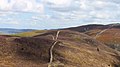 Moel y Gaer, Llantysilio Mountains SSSI and Special Areas of Conservation in Wales - 2021 01.jpg