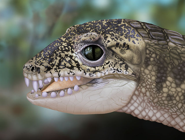 Image: Morrinhosuchus