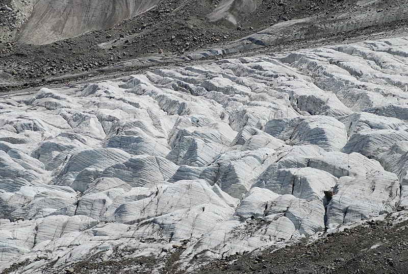 File:Morteratschgletscher 2008 Oberfläche2.jpg