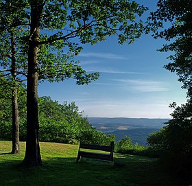 Springfield Township (comté de Bradford, Pennsylvanie)