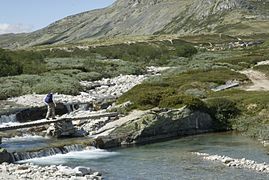 Bridge for hikers in Rondane