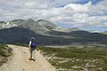 Fra turistveien «Peer Gynt-vegen» i Oppland Foto: 2010