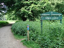 Former National Cycle Route 20 at Tilgate Forest, near Crawley, West Sussex NCR 20 - Tilgate Forest.JPG