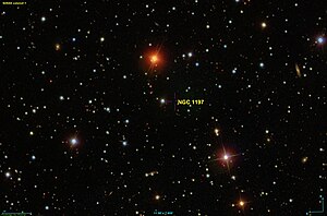 NGC 1197 SDSS.jpg