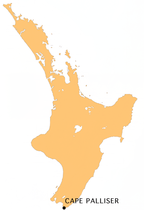 Cape Palliser, Region Wellington, Wyspa Północna