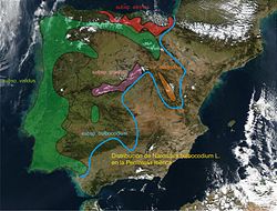 Distribución na Península Ibérica.