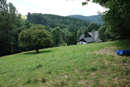 Naturschutzgebiet Kerbecker Siepen 2