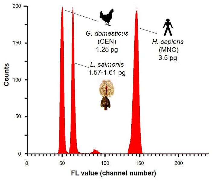 File:Nuclear DNA content of salmon louse.jpg