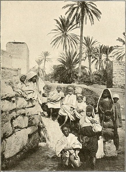 File:Oasis de Gabès.jpg