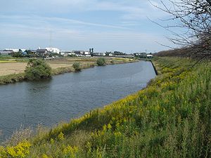 大榑川 2008年10月20日撮影