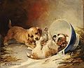 Chiots jouant. o/l. 38x46 cm.