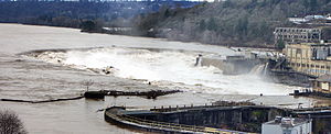 The falls after the Hanukkah Eve windstorm of 2006 swelled the Willamette River and part of the paper mill