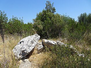 Vestige du dolmen de la Lauze