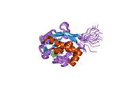 PDB 1ycm EBI.jpg